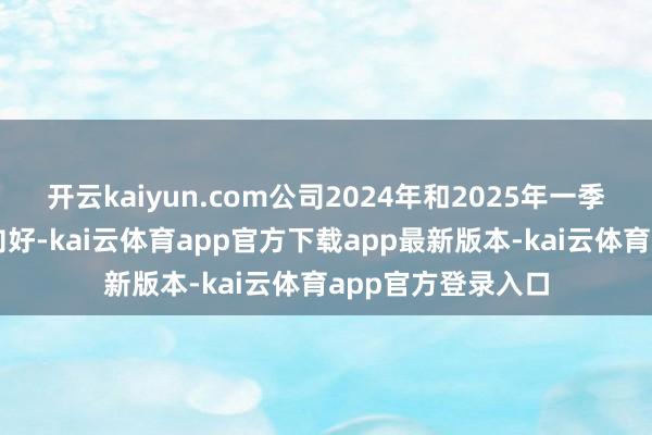开云kaiyun.com公司2024年和2025年一季报主见情况捏续向好-kai云体育app官方下载app最新版本-kai云体育app官方登录入口